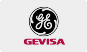 Logo-GEgenevisa